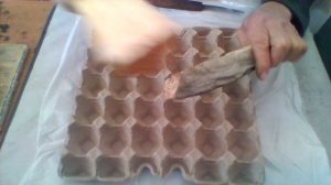 Сушеный терпуг-отбивной.