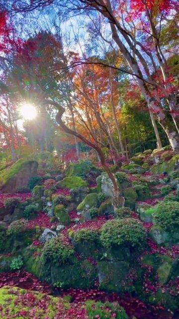 Храм Кёринбо, Япония