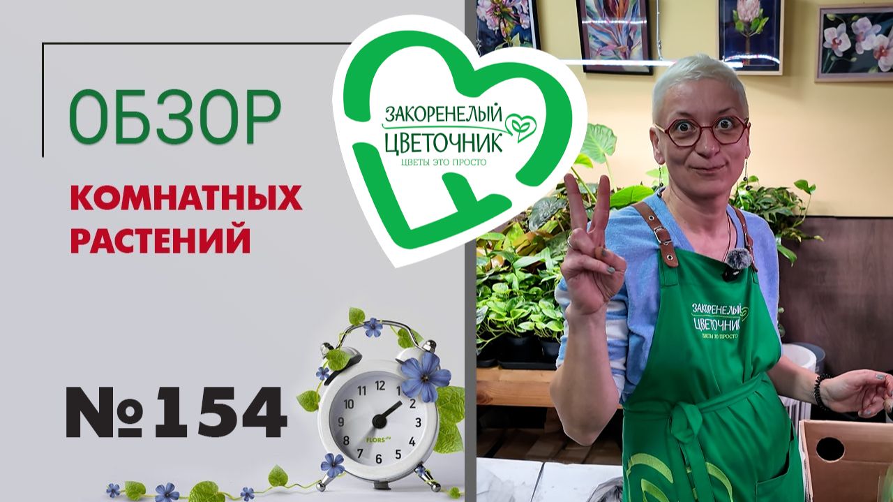 Спатифиллумы, розы, ятрофа, папоротники, орнитогалум, ктенанте, фикусы. Распаковка растений № 154 смотреть онлайн