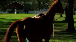 проблемы с желудком