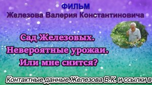 Сад Железовых. Невероятные урожаи. Или мне снится?