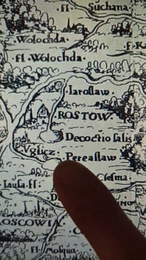 ПОНЯЛ СМЫСЛ ЛЕБЁДКА❤️🐴🦢