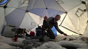 Корюшка 2026.