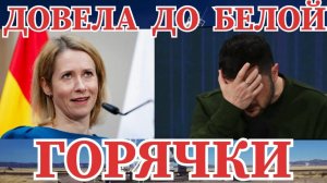 #КАЯ КАЛЛАС ДОВЕДЁТ #ЗЕЛЕНСКОГО ДО БЕЛОЙ ГОРЯЧКИ