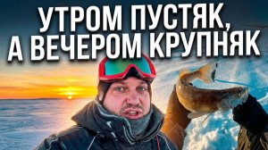 УТРОМ ПУСТЯК, А ВЕЧЕРОМ КРУПНЯК!!! Ловля ОКУНЯ и СУДАКА на балансир!