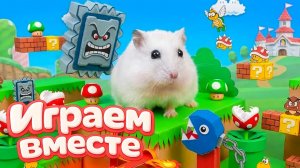 Лабиринт из игры СОНИК ! Умный Хомяк попал в мир СОНИКА ! Видео для детей 🐹🍄