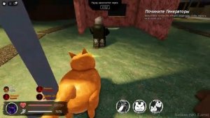 лмс тигры и Брайна Мапса русакен