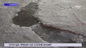 НОВОСТИ СЕВЕРНОГО ГОРОДА, 24.02.2026