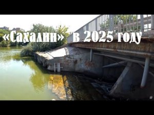 Донецкий ставок «Сахалин»  в 2025 году