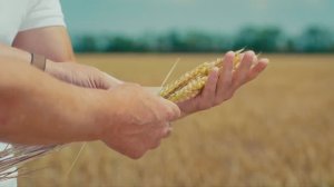 «Техноэкспорт Агро» — для развития культуры земледелия