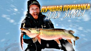 ВОЛГА? НЕТ, БОЛОТО! ЗУБАСТАЯ ЩУКА ЗИМОЙ НА СЛАГ