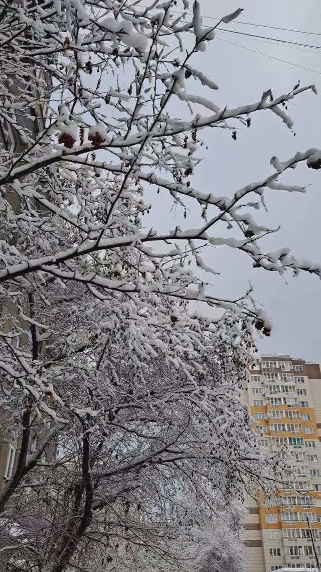 Зима недаром злится
