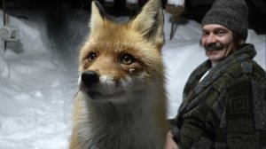 (1224) Лиса приходит в гости. Февраль 2026