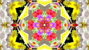 Футажи! Футаж Очаровательные фантастические пейзажи 2!