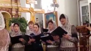 Тебе не обозримую стену.