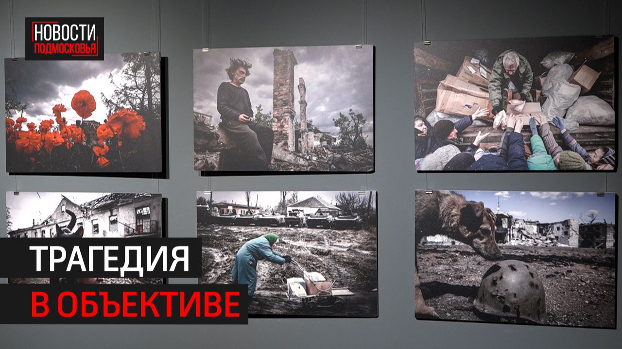 В Балашихе организовали выставку «Хроника СВО глазами военкора» смотреть онлайн