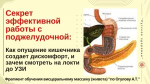 Секрет эффективной работы с поджелудочной: Как опущение кишечника создает дискомфорт.
