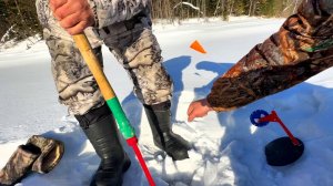 ПОЙМАЛ / пожарил СВЕЖУЮ РЫБУ / Братское Водохранилище