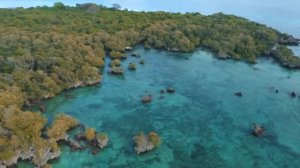 Обед с каннибалами.