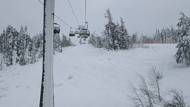 Чем выше в гору, тем больше снега, и ёлки пышные в снегу смотреть онлайн