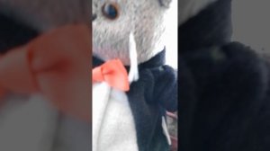 23 февраля подарки для басиков