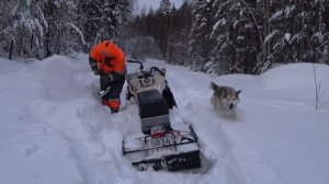 В ЛЕС НЕНАДОЛГО.