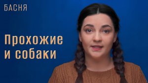 Прохожие и собаки