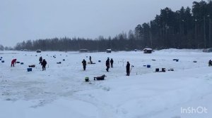 Ежедневное пополнение водоема форелью
