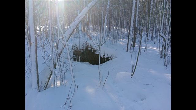 Сияние снегов Борис Чичибабин