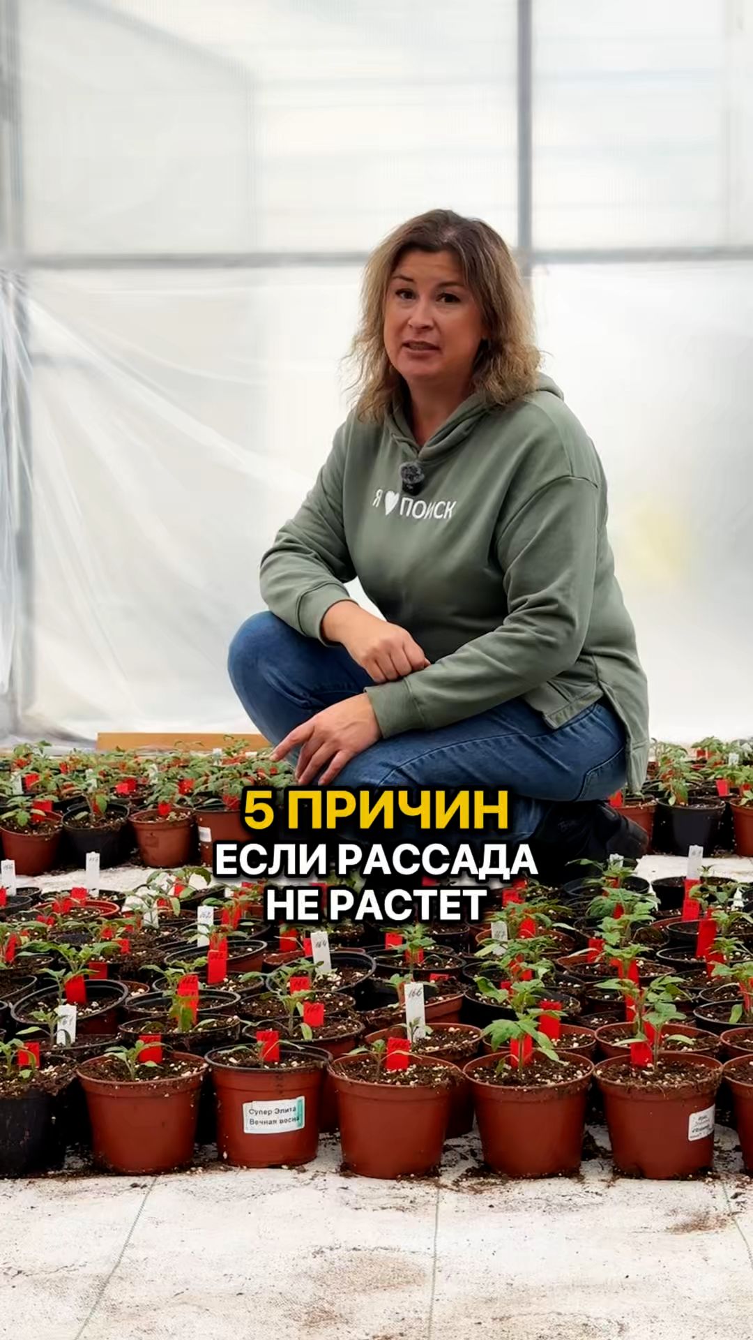 5 причин почему НЕ РАСТЕТ РАССАДА.