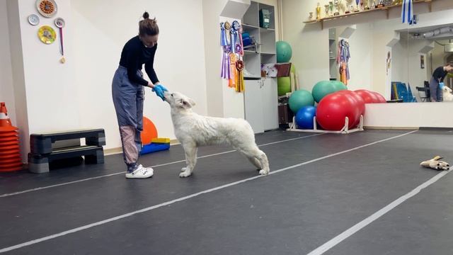 Гера смотреть онлайн