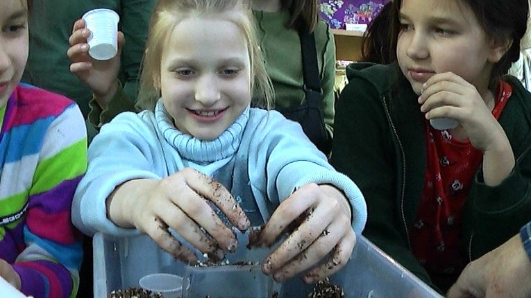 ДФ.Propagating saintpaulia by leaf. A practical activity for children. смотреть онлайн