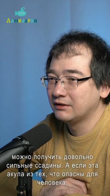 Правда и мифы: Чем на самом деле страшны акулы?