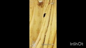 ЛЕТУЧИЙ МЫШ ПРИЛЕТЕЛ