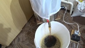 Ячменный карамельный солод - горячее (белая и красная схема) и холодное (на кодзи) осахаривание