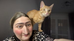 МОЙ НЕСКУЧНЫЙ ВЕЧЕР 😂 МОГУ СЕБЕ ПОЗВОЛИТЬ! ДО ДО ПИЦЦА 🍕 У ВАС ОТМЕНА 😡