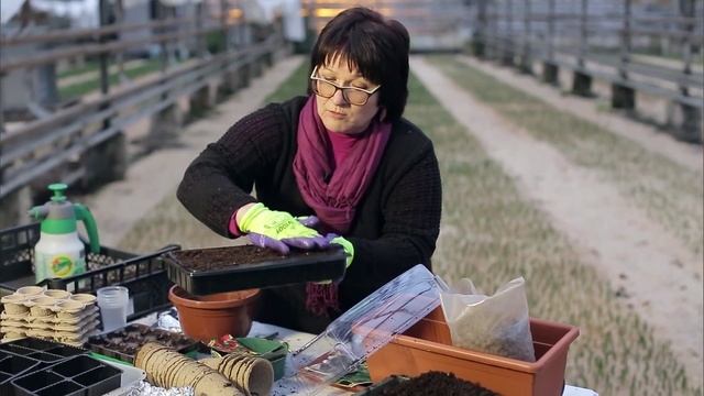 Контейнеры для рассады. Как подобрать контейнер правильно смотреть онлайн