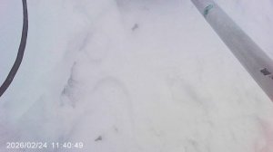 Чищу дорожки от снега