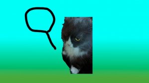 Играем в найди браинрот