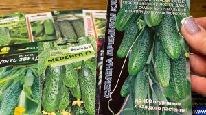 САМЫЕ УРОЖАЙНЫЕ огурцы для нового сезона