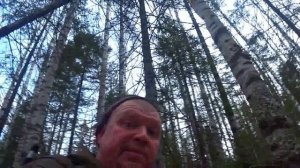 отпуск закончися а мы опять в тайгу гонять лосей