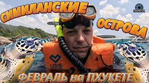Посмотри. Симиланские острова, стоит ли ехать? Полный обзор экскурсии.