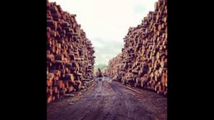 Убивают тайгу. Песня на слова смоленского поэта Евгения Гордеева.