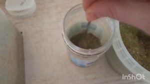 РЫБНЫЕ КОТЛЕТЫ ИЗ КАРАСЕЙ С КОСТОЧКАМИ