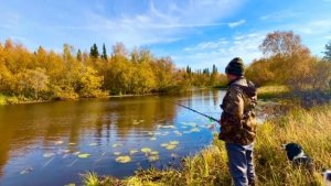 Рыбалка на лесном озере. Улов порадовал. Отдых у костра.