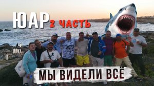 Путешествие по ЮАР часть 2! Купание с акулами, пингвины, мы видели ВСЁ!