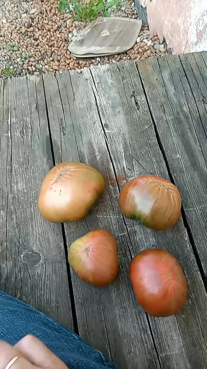 Всем привет. 🖐🖐🖐 Пожалуйста если у кого есть такой сорт томатов напишите название. Хочу остави…