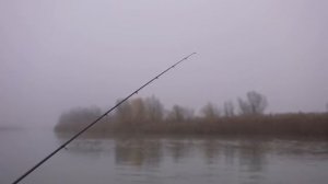 РЫБА КЛЮЁТ БЕШЕНО! ЗА КРУПНЫМ САЗАНОМ В ТУМАН!