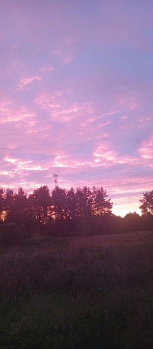 о ты тут ну привет