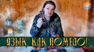 ЯЗЫК, КАК ПОМЕЛО! ЧТО ОН ГОВОРИТ ПРО ТЕБЯ? | Гадание таро расклад